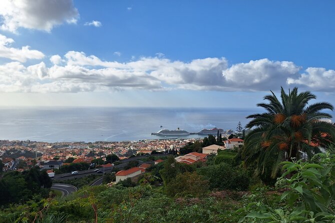 2-Hour Funchal City & Madeira Wine Experience - Zona Velha: Funchal’s old streets and painted doors