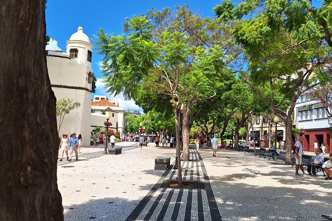 2-Hour Funchal City & Madeira Wine Experience - What the $46.96 price includes