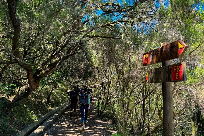 25 Fountains Levada: Hiking Tour in Madeira Rabaçal Valley (PR6) - Key points to know before booking