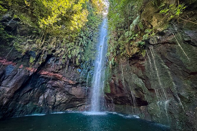25 Fountains Levada: Hiking Tour in Madeira Rabaçal Valley (PR6) - Why the Laurisilva forest makes this hike special