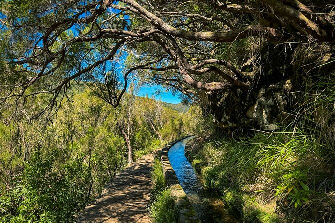 25 Fountains Levada: Hiking Tour in Madeira Rabaçal Valley (PR6) - Transport, timing, and what $52.87 buys you