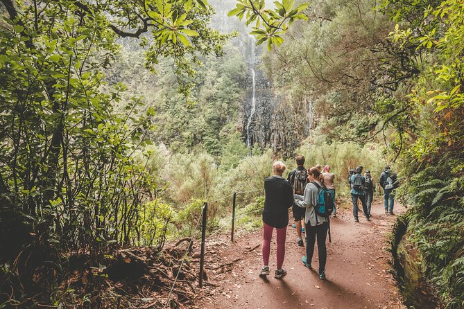 25 Fountains Levada: Hiking Tour in Madeira Rabaçal Valley (PR6) - Who should book this Madeira hiking tour?