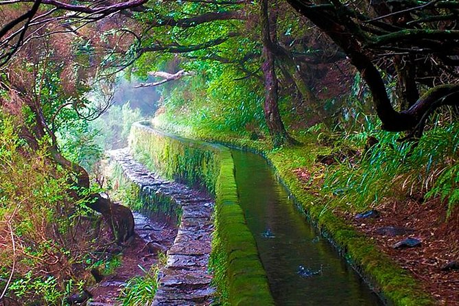 "25 Fountains" Walk / Lost In The Beautiful Forest - What this Madeira walk is really like
