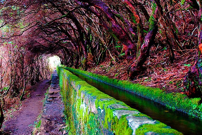 "25 Fountains" Walk / Lost In The Beautiful Forest - The tunnel is part of the adventure, and a warning
