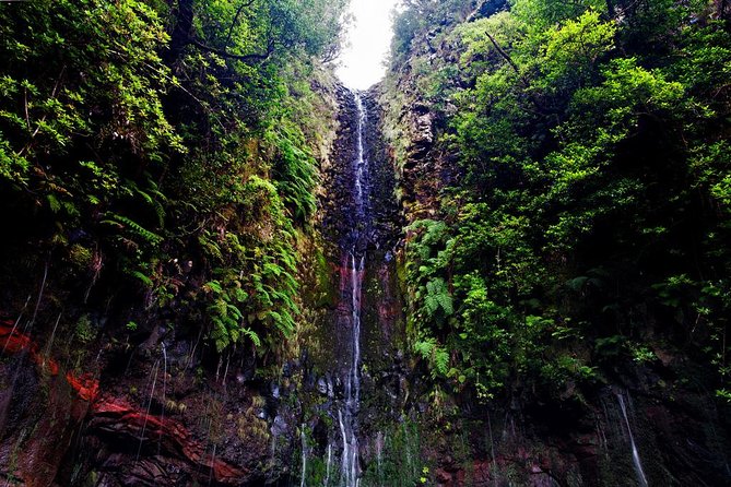 "25 Fountains" Walk / Lost In The Beautiful Forest - Who should choose this walk?