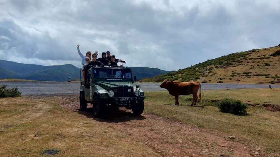 4 hours Unique Jeep Safari Tour to Pico do Arieiro, Madeira - Local details that add value to the drive