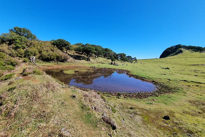 5 Hours Private tour To Porto Moniz, Rock pools, waterfalls - What the private 4WD setup adds
