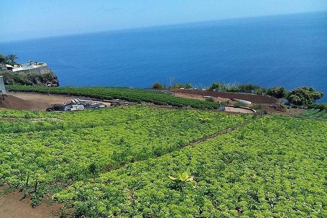 Agriculture Green Tour - Fruit, vegetables, and the food behind lunch