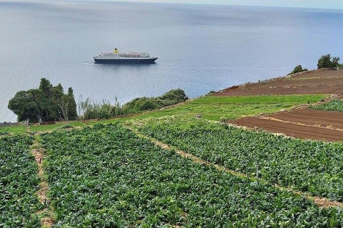 Agriculture Green Tour - From Funchal to Madeira’s old farm roads