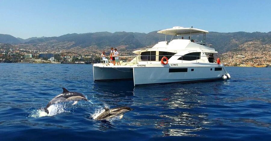 All Inclusive Whale and Dolphin Watching Luxury Tour - Starting at Funchal’s new marina