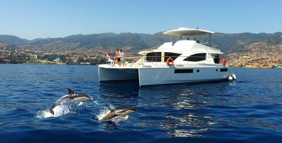 All Inclusive Whale and Dolphin Watching Luxury Tour - Snacks and drinks served while you watch