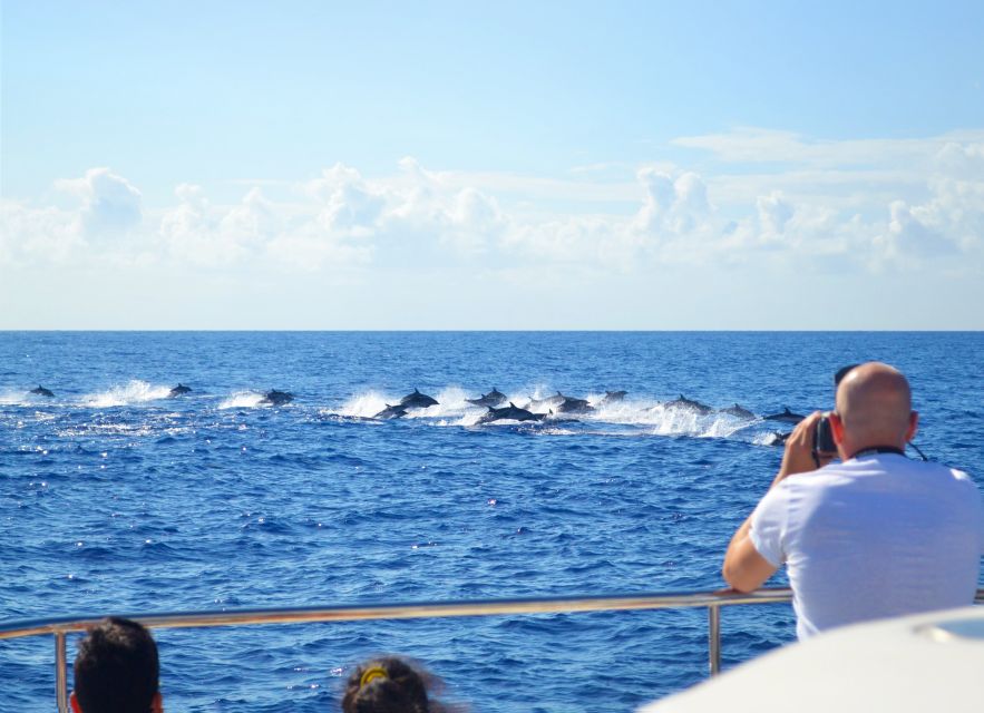 All Inclusive Whale and Dolphin Watching Luxury Tour - The first 45 minutes: setting out to find marine life