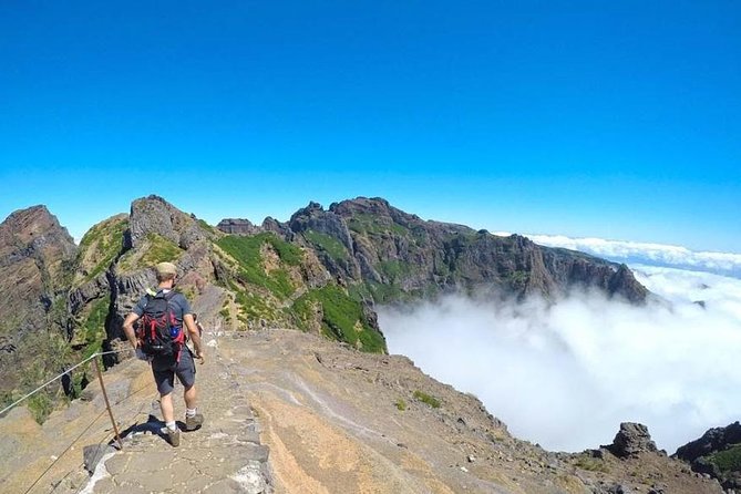 All Madeira In 2 Days Tour - Guides, vehicles, and the pace of the day