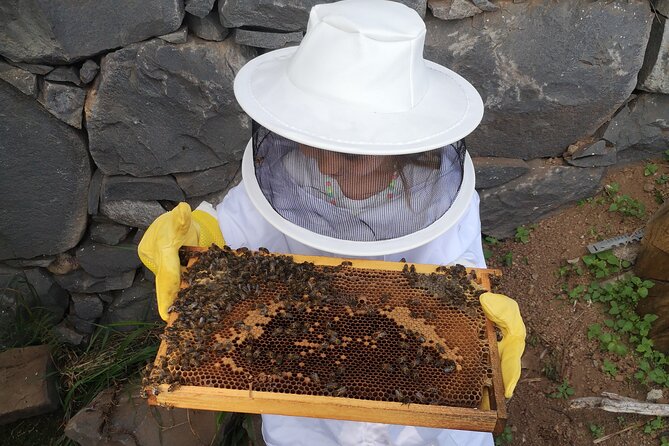 Amazing experience with Bees, honey and Pollen in Madeira Island - Weather, comfort, and who should book