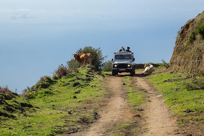 Amazing West - Jeep Safari Tour - Full Day - Shared Tour - Key points to know before booking