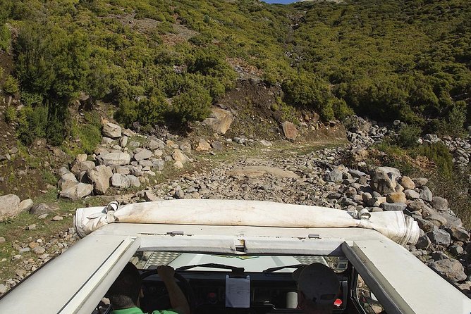 Amazing West - Jeep Safari Tour - Full Day - Shared Tour - Fanal Forest and Madeira’s old laurel trees