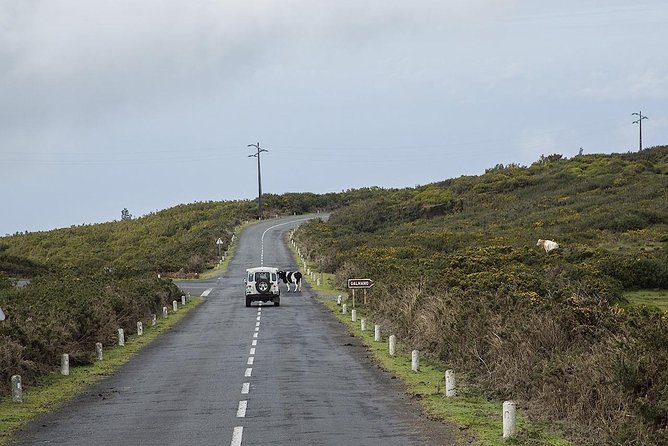 Amazing West - Jeep Safari Tour - Full Day - Shared Tour - Seixal’s black-sand beach and rock formations