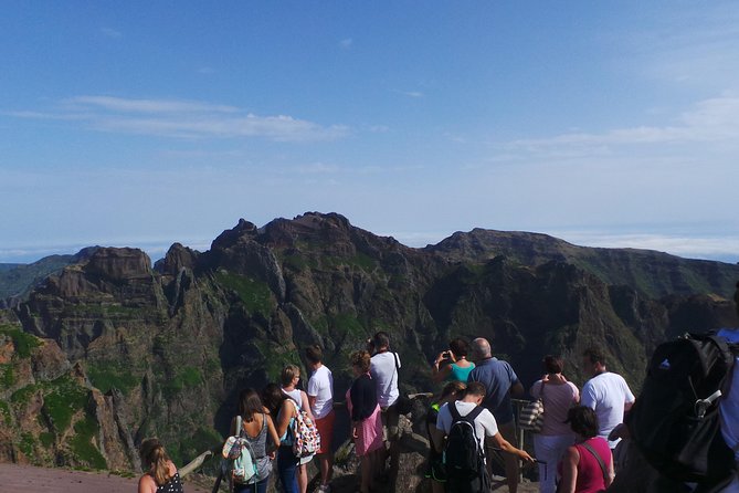 Arieiro Peak and Cristo Rei 4x4 Experience + Dolphins Watching - What the private format changes