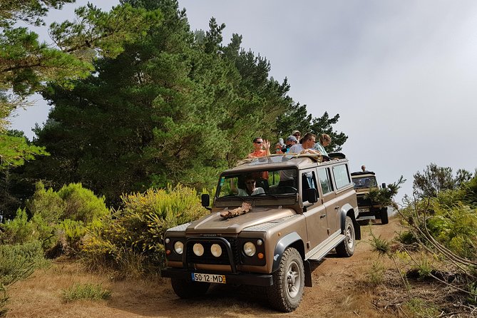 Arieiro Peak, Santo Serra, Cristo Rei in Open Roof 4x4 Experience - Why this half-day 4x4 trip works well