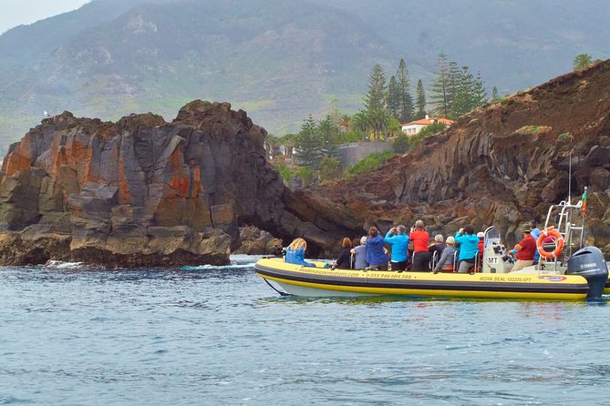 Basic Tour 1 - Cais do Sardinha to Quinta do Lorde (one way) - What you see beside Baía d’Abra