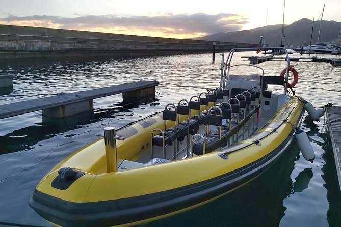 Basic Tour 1 - Cais do Sardinha to Quinta do Lorde (one way) - Who should book this boat ride?