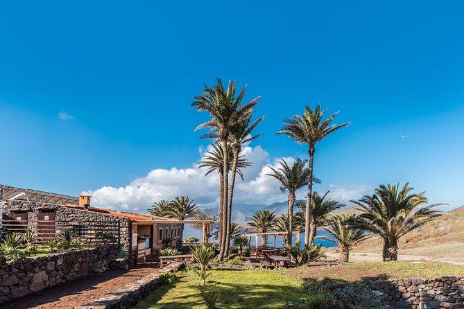 Basic Tour 1 - Cais do Sardinha to Quinta do Lorde (one way) - Starting at Cafetaria Sardine House