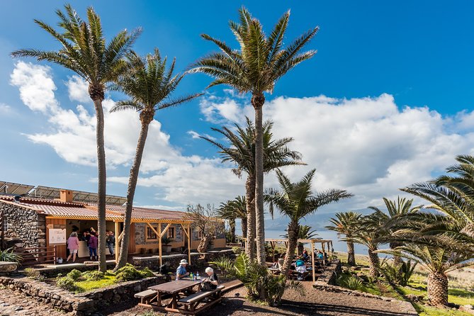 Basic Tour 2 - Quinta do Lorde to Cais do Sardinha and return - Is $22.35 a fair price?