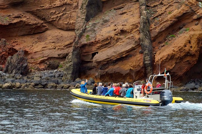 Basic Tour 2 - Quinta do Lorde to Cais do Sardinha and return - Who will enjoy this outing most?