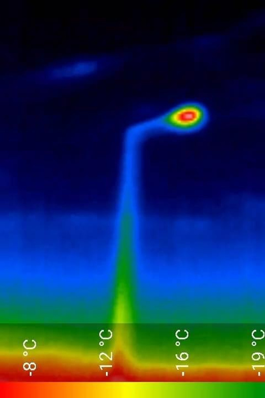 Bat Watching Madeira - Using detectors to hear what your eyes miss