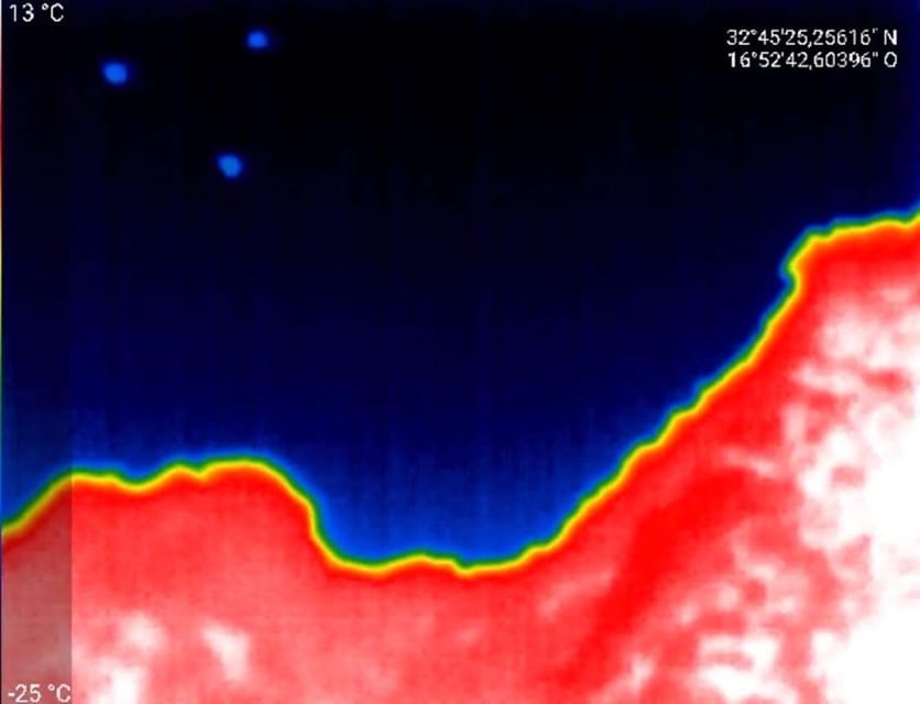 Bat Watching Madeira - A conservation lesson with a local purpose