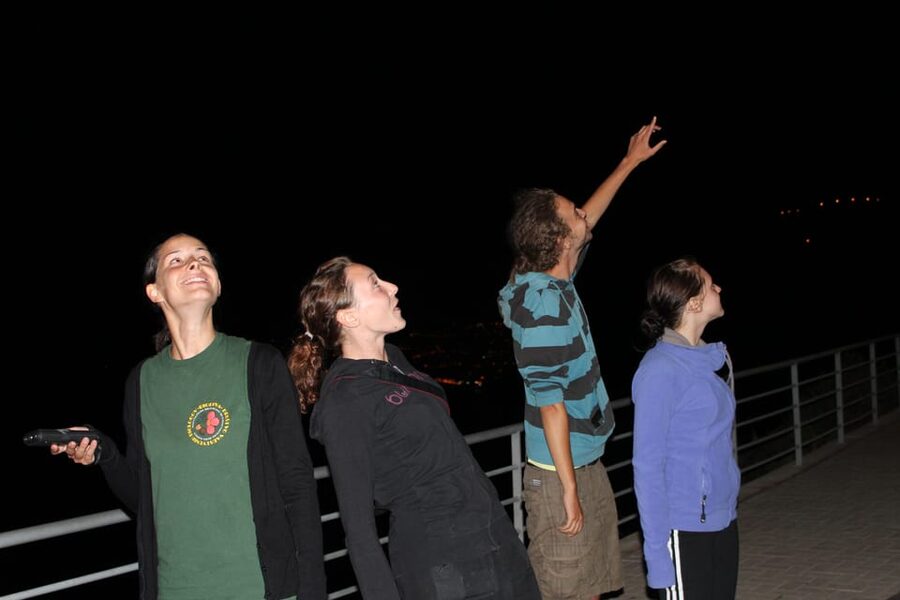 Bat Watching Madeira - Booking, cancellation, and planning tips