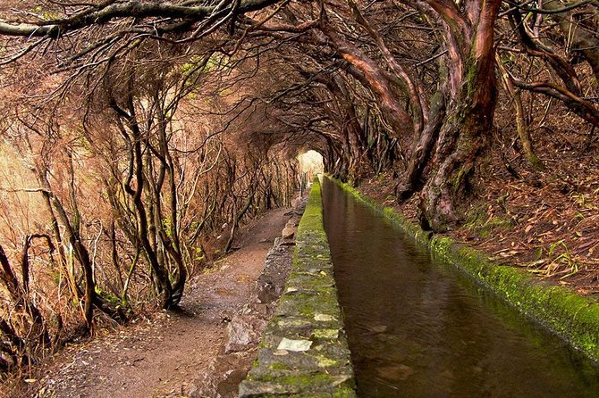 Beautiful walks in Rabaçal, Madeira - Key points to know before booking