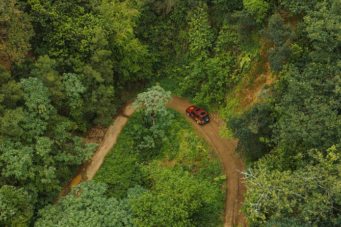 Bespoke adventure in Madeira with pick-up - Waterfalls, natural pools, and the coast