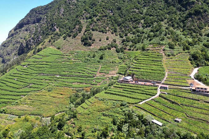 Bestselling Wine Tour, Tasting Experience & Skywalk 4x4 Adventure - What the route feels like in three and a half hours