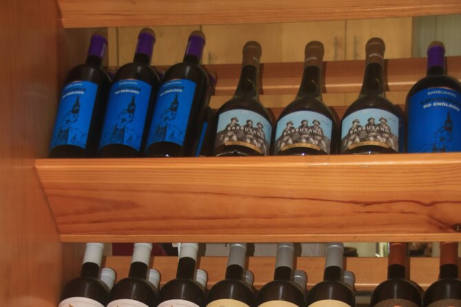 Bestselling Wine Tour, Tasting Experience & Skywalk 4x4 Adventure - Who will enjoy this Madeira outing