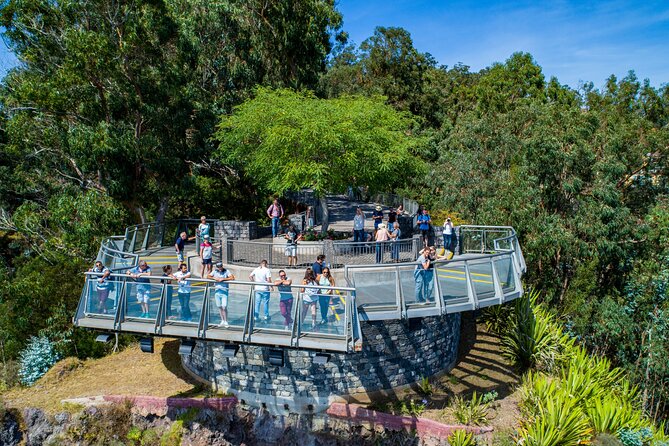 Bestselling Wine Tour, Tasting Experience & Skywalk 4x4 Adventure - Six wines and cheese at Quinta Barbusano
