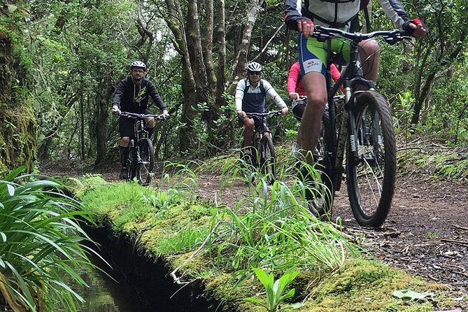 Botanical Trails of Madeira. Mountain biking Trail Experience - Starting at Poiso, high above the island