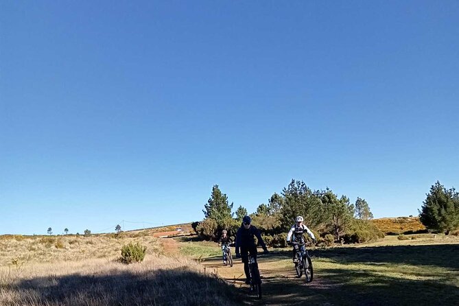 Botanical Trails of Madeira. Mountain biking Trail Experience - A pause in Camacha after the long forest ride