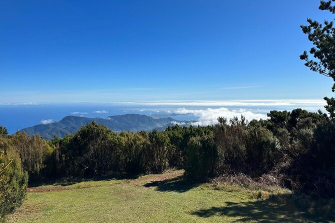 Botanical Trails of Madeira. Mountain biking Trail Experience - Is $96.12 good value?