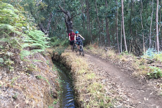 Botanical Trails of Madeira. Mountain biking Trail Experience - Booking and cancellation details
