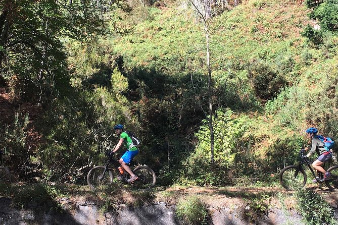 Botanical Trails of Madeira. Mountain biking Trail Experience - From mountain forest to Madeira’s levadas