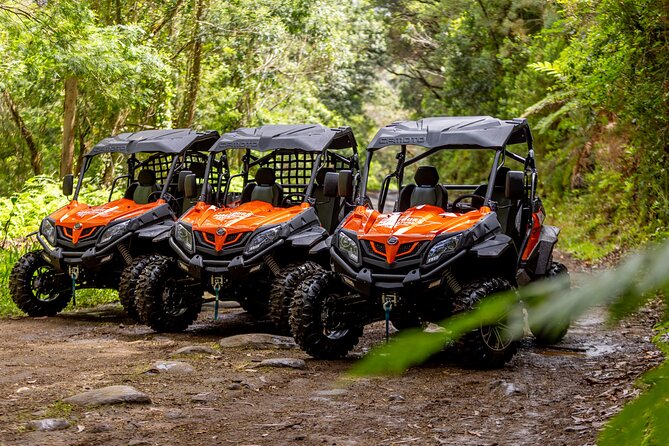 Buggy Adventure in Madeira off Road - Starting at Estrada de São Lourenço in Caniçal