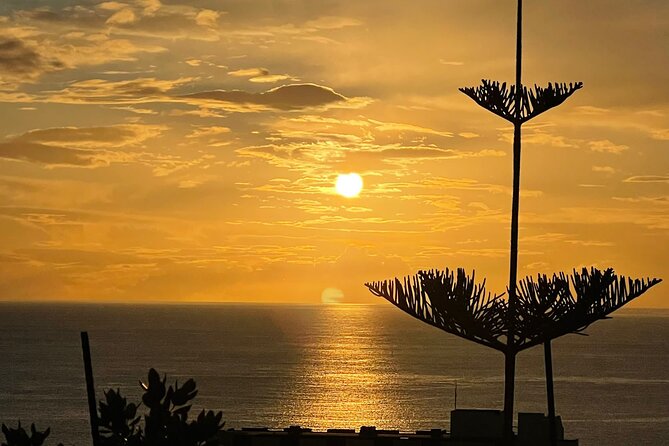 CABO GIRÃO (Half Day tour/3h) / Private Classic Car (4L). - Camara de Lobos and the taste of poncha