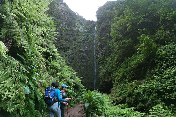 Caldeirão Verde Levada (PR 9) - Guided Madeira Levada Walk - Reaching the Caldeirão Verde waterfall