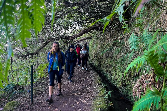 Caldeirão Verde Levada (PR 9) - Guided Madeira Levada Walk - The return walk and the pace problem
