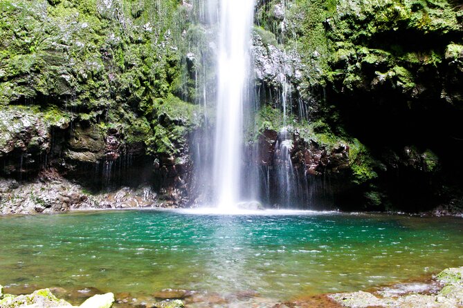 Caldeirão Verde Levada (PR 9) - Guided Madeira Levada Walk - Who will enjoy this walk most