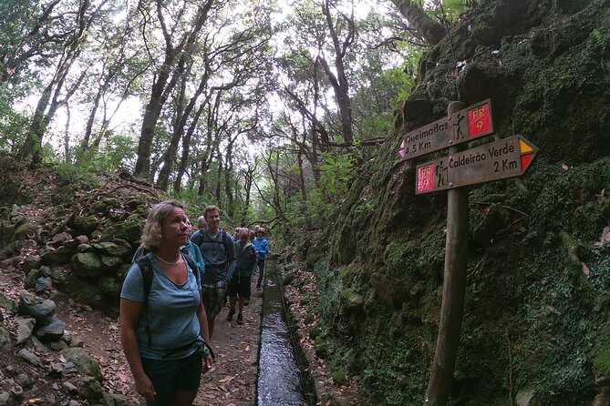 Caldeirão Verde Levada (PR 9) - Guided Madeira Levada Walk - Walking through Madeira’s Laurisilva forest