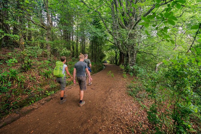 Caldeirão Verde Levadas Walk in Madeira - The forest route is the main attraction