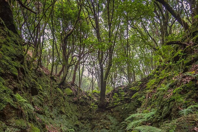 Caldeirão Verde Levadas Walk in Madeira - Reaching the waterfall at Green Cauldron