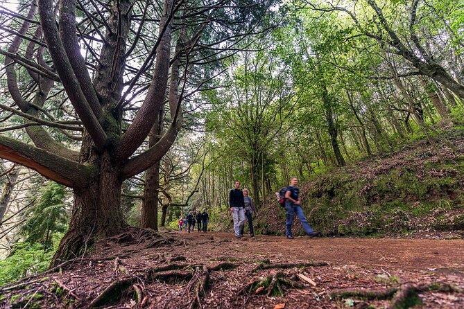 Caldeirão Verde Levadas Walk in Madeira - Pickup, group size, and the long day